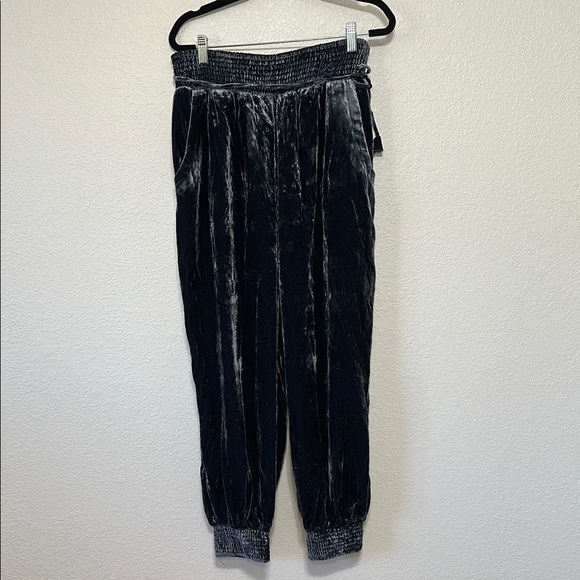 Anthropologie Blue Velvet Jogger Pants L - Picture 1 of 7